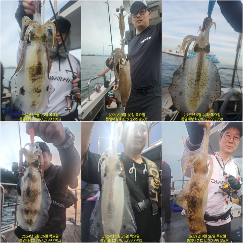 통영태성호의 조황일지 이미지 - 0