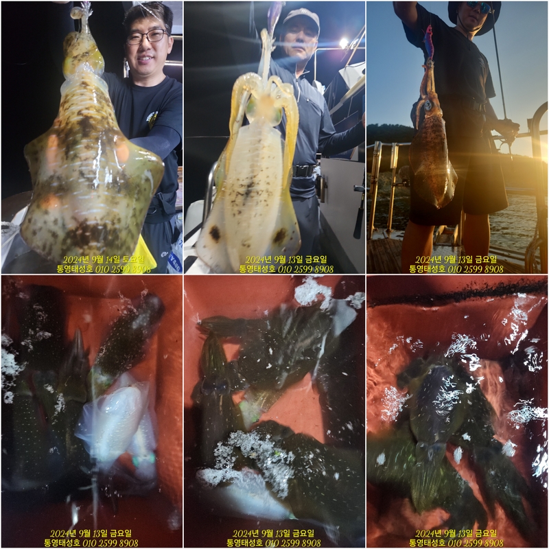 통영태성호의 조황일지 이미지 - 10