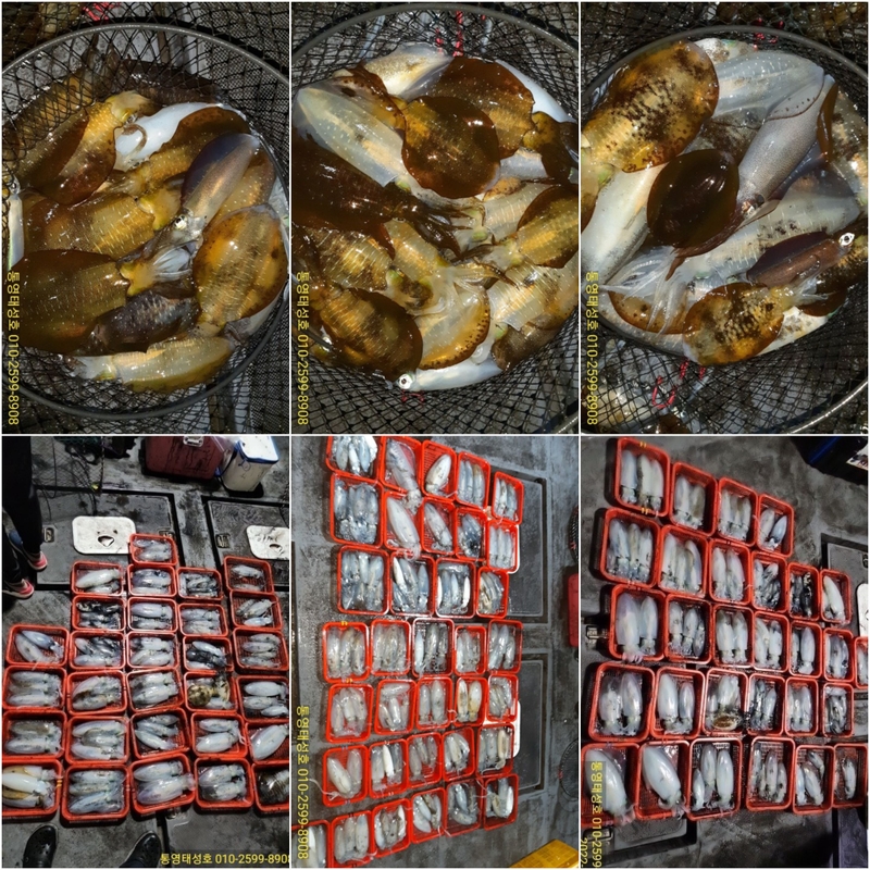 해당 선사를 대표하는 이미지