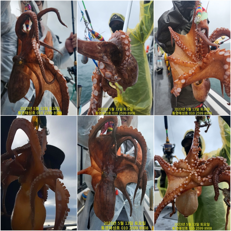 해당 선사를 대표하는 이미지