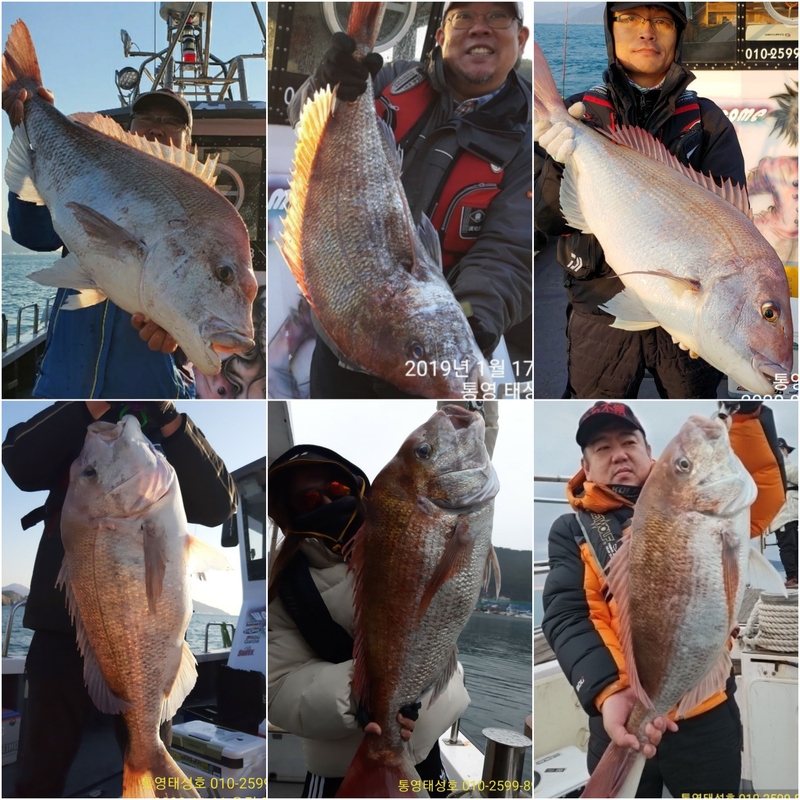 해당 선사를 대표하는 이미지