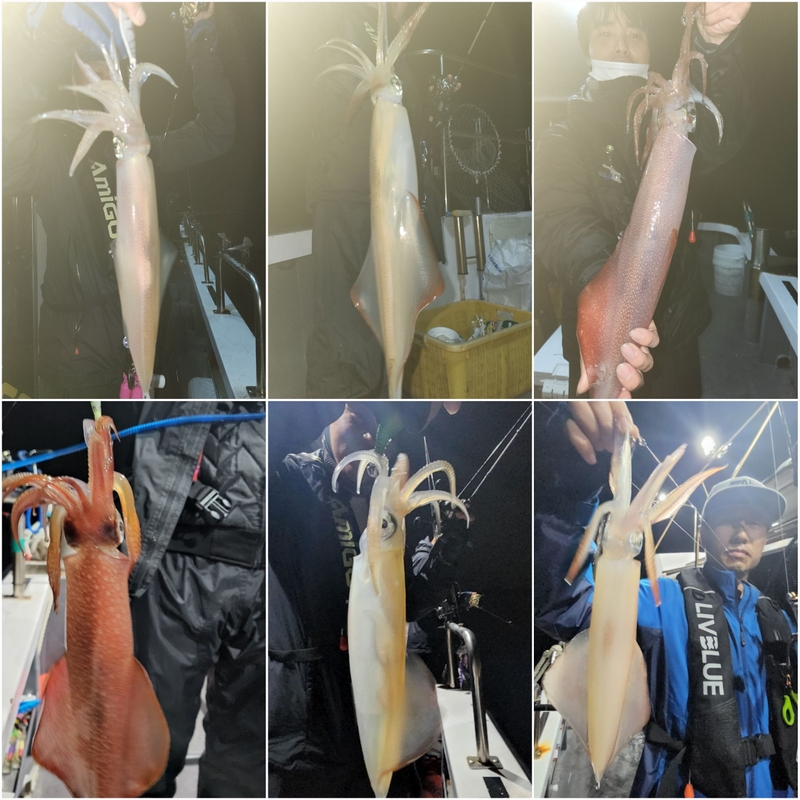 해당 선사를 대표하는 이미지