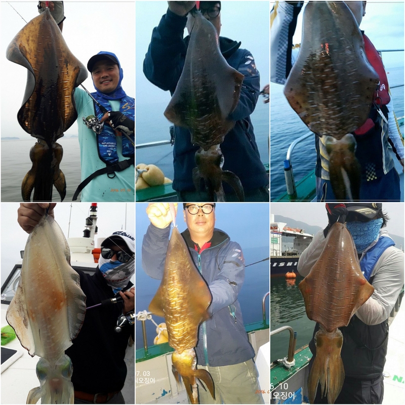 해당 선사를 대표하는 이미지