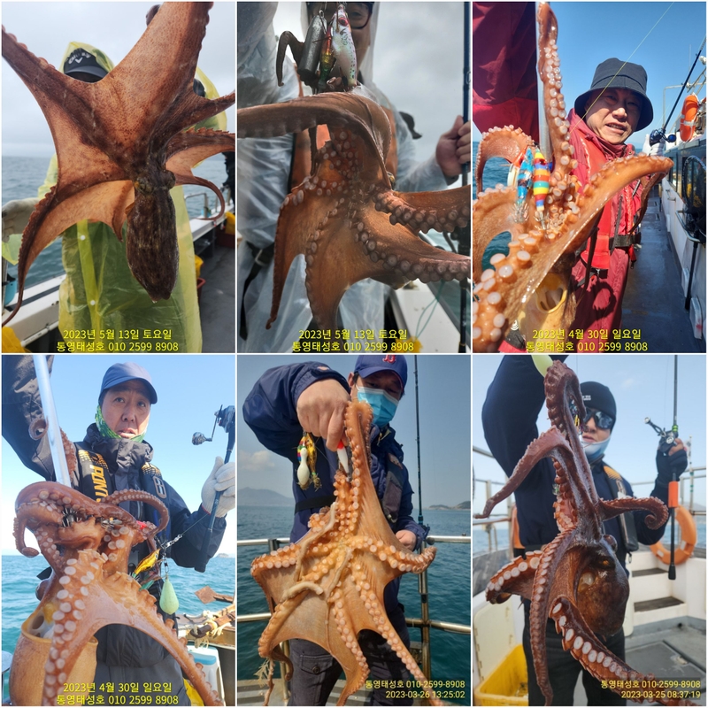 해당 선사를 대표하는 이미지