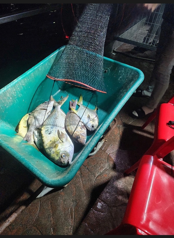 선재낚시공원의 조황일지 이미지 - 3