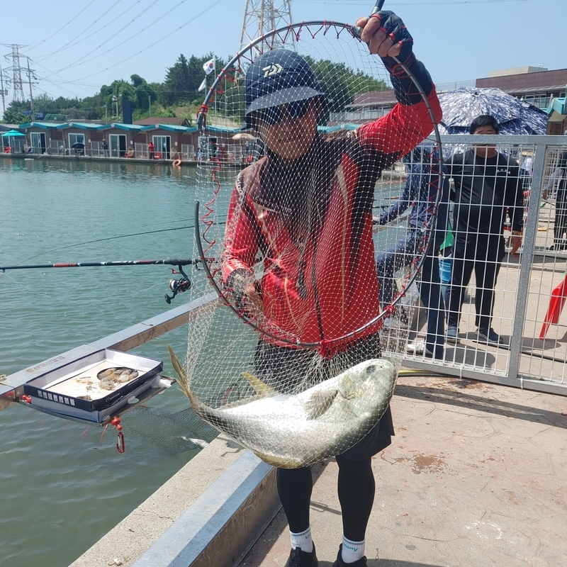 선재낚시공원의 조황일지 이미지 - 1