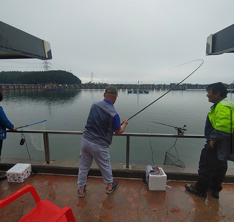 선재낚시공원의 조황일지 이미지 - 2