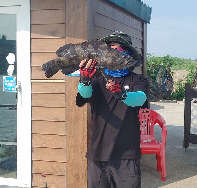 선재낚시공원의 조황일지 이미지 - 0