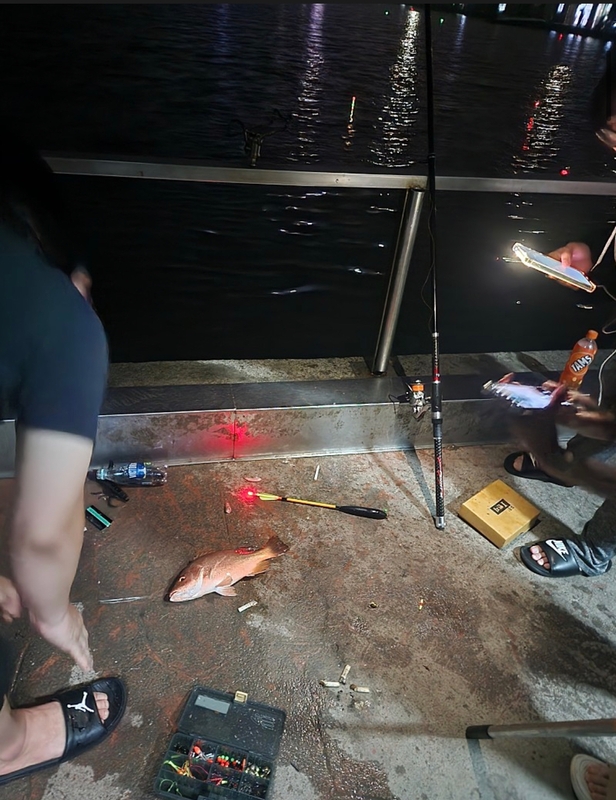 선재낚시공원의 조황일지 이미지 - 0