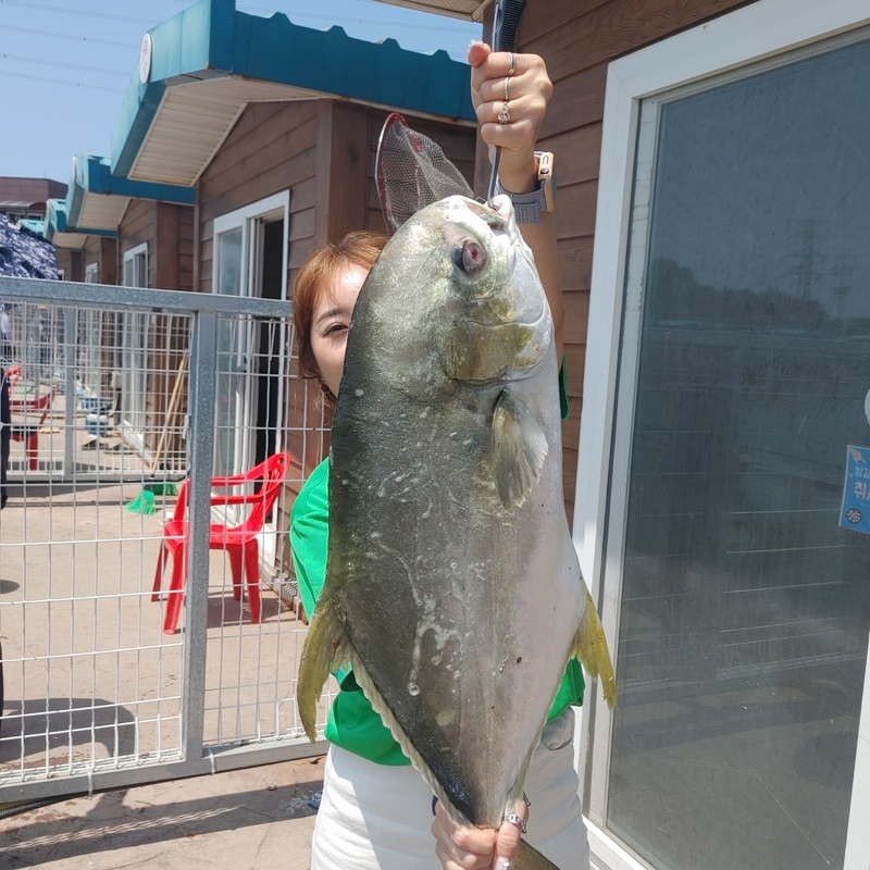 선재낚시공원의 조황일지 이미지 - 0