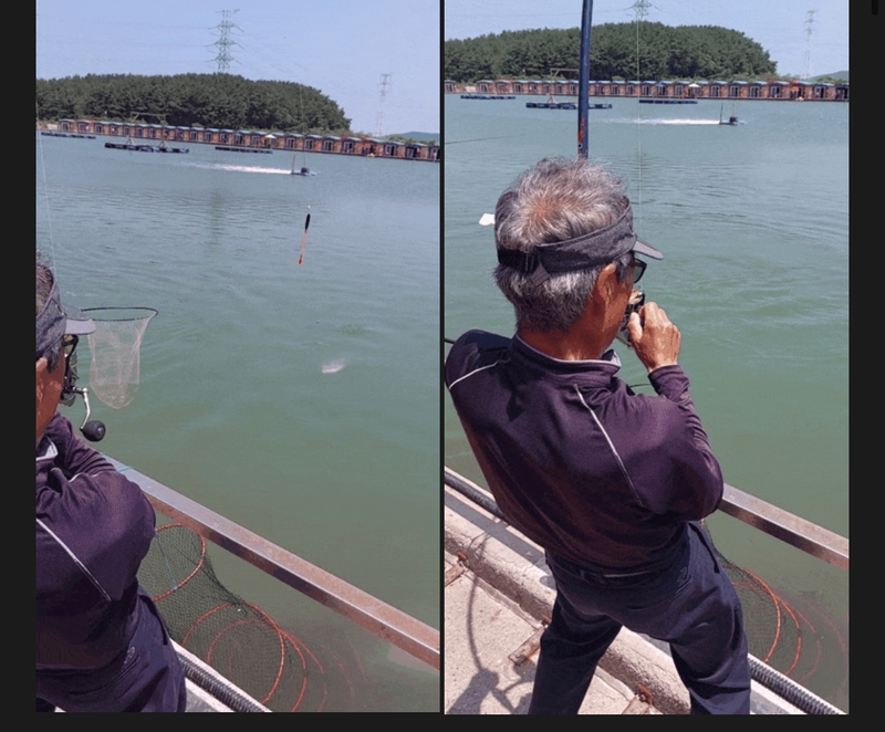 선재낚시공원의 조황일지 이미지 - 0