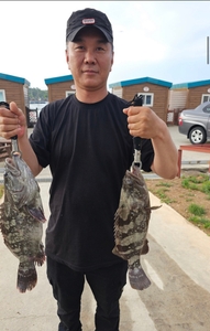 찌낚시-6월29일 오전조황 선상낚시로 잡은 물고기 조황