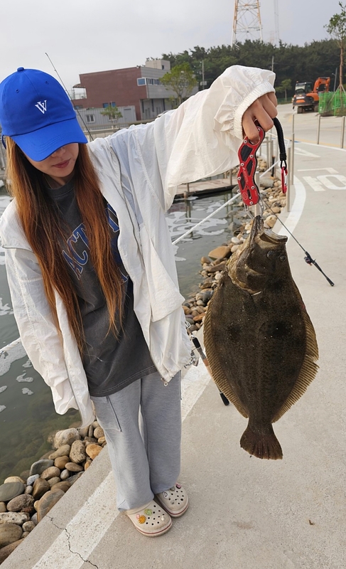 선재낚시공원의 조황일지 이미지 - 0