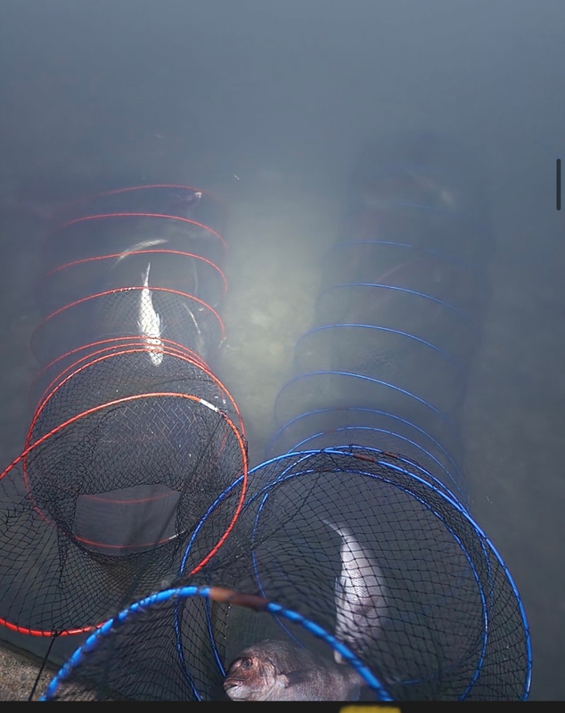 선재낚시공원의 조황일지 이미지 - 3