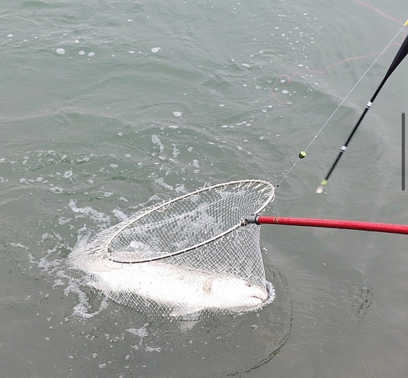 선재낚시공원의 조황일지 이미지 - 1