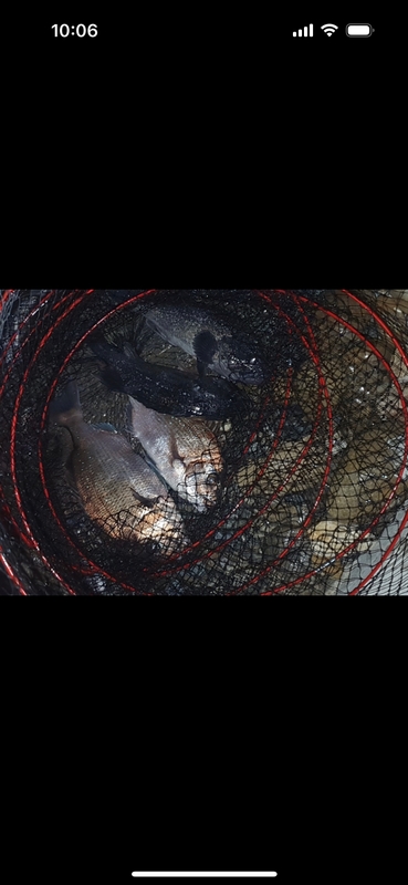 선재낚시공원의 조황일지 이미지 - 6