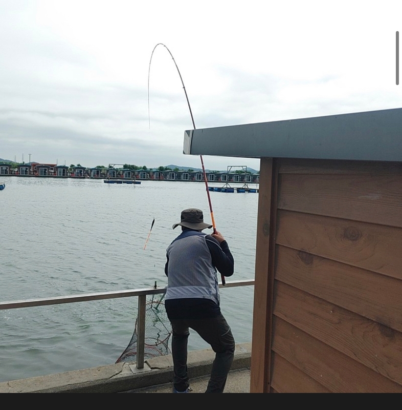 선재낚시공원의 조황일지 이미지 - 1