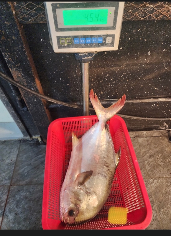 선재낚시공원의 조황일지 이미지 - 2