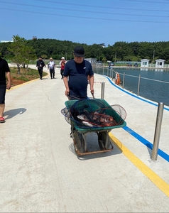 루어존-7월1일 오전조황 선상낚시로 잡은 물고기 조황