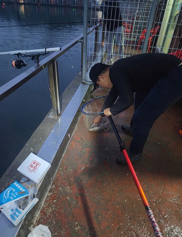 선재낚시공원의 조황일지 이미지 - 1