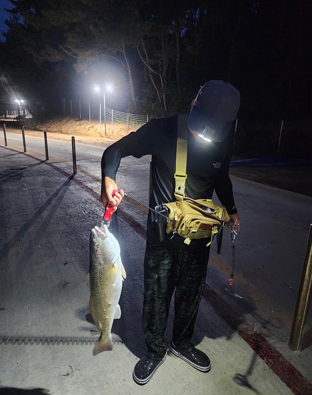 선재낚시공원의 조황일지 이미지 - 0