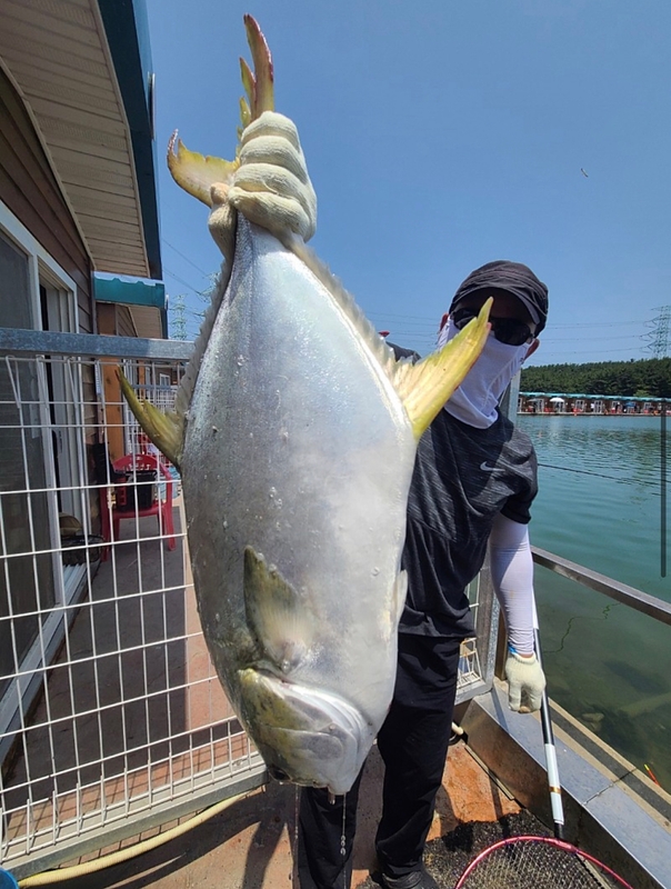 선재낚시공원의 조황일지 이미지 - 3