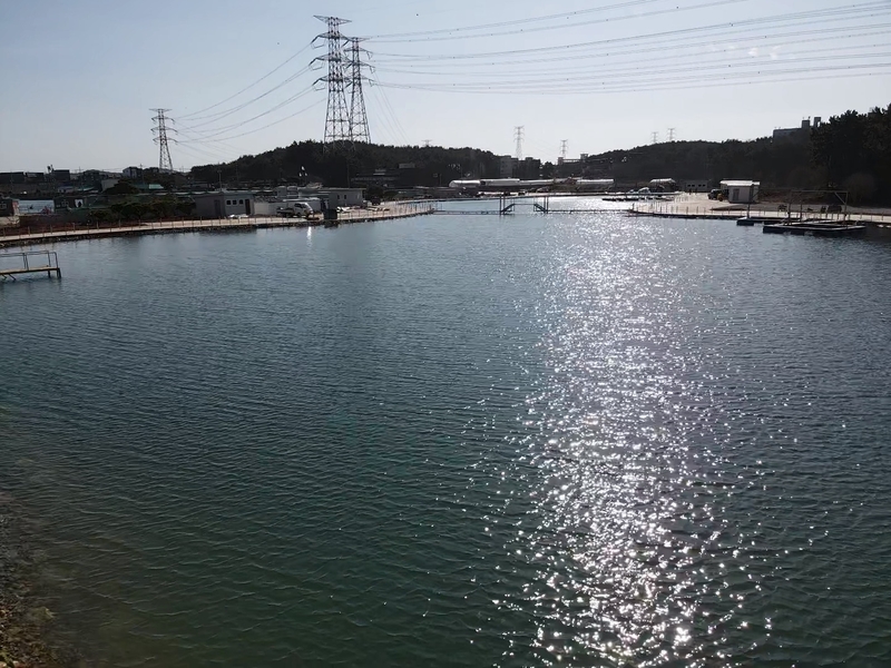 해당 선사를 대표하는 이미지