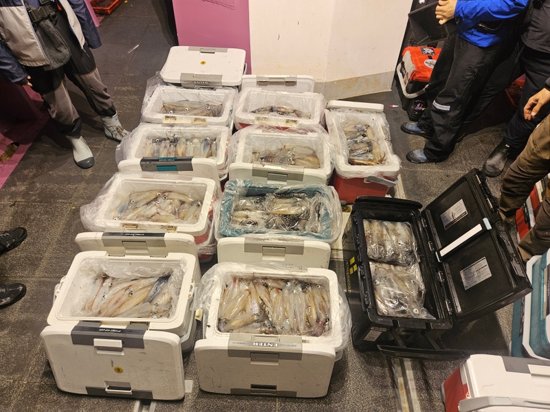 거제 적호의 조황일지 이미지 - 9