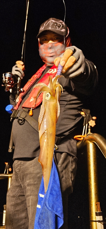 거제 적호의 조황일지 이미지 - 6