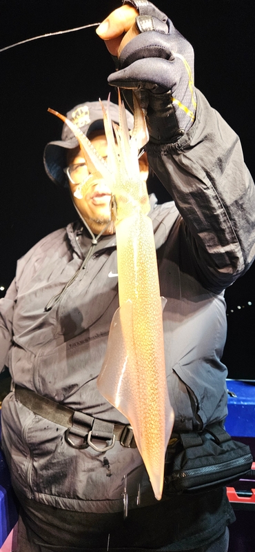 거제 적호의 조황일지 이미지 - 3