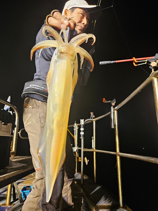 거제 적호의 조황일지 이미지 - 7