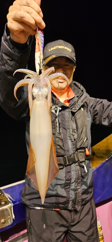 거제 적호의 조황일지 이미지 - 5