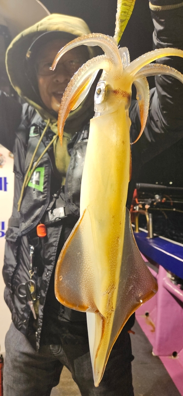 거제 적호의 조황일지 이미지 - 4