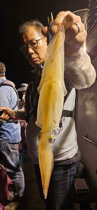 거제 적호의 조황일지 이미지 - 4