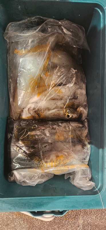 거제 적호의 조황일지 이미지 - 7