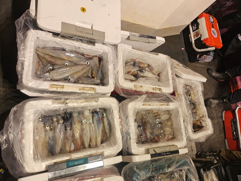 거제 적호의 조황일지 이미지 - 12