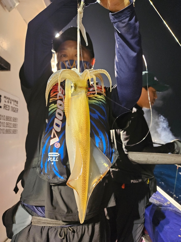 거제 적호의 조황일지 이미지 - 1