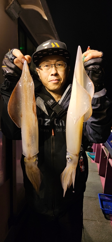 거제 적호의 조황일지 이미지 - 0