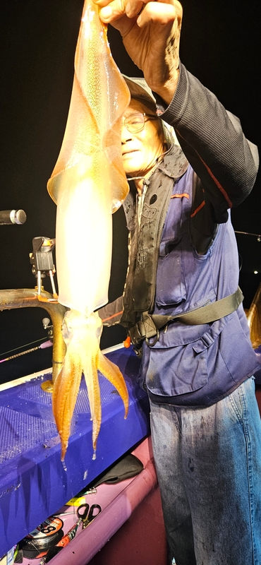 거제 적호의 조황일지 이미지 - 3