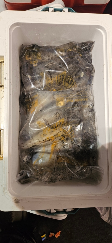 거제 적호의 조황일지 이미지 - 6