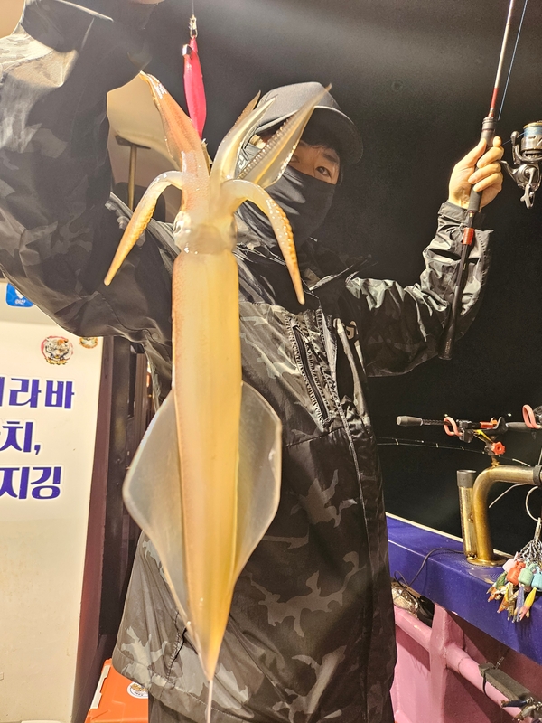 거제 적호의 조황일지 이미지 - 3