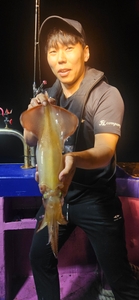 한치 조황 입니다 선상낚시로 잡은 물고기 조황