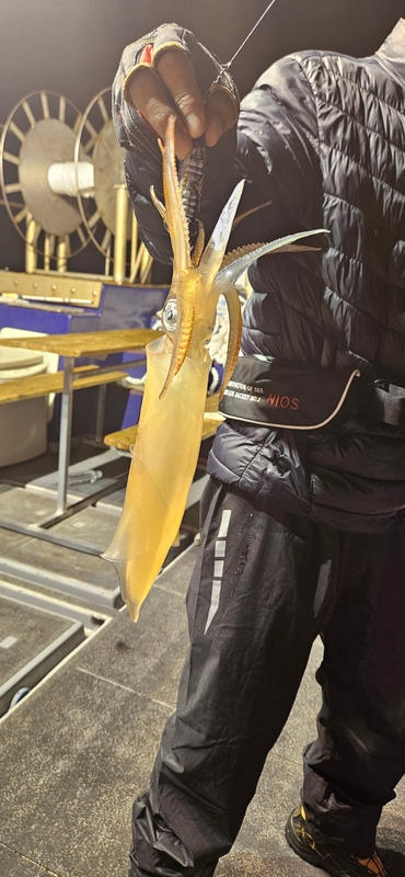 거제 적호의 조황일지 이미지 - 7