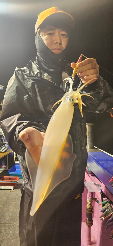 거제 적호의 조황일지 이미지 - 1