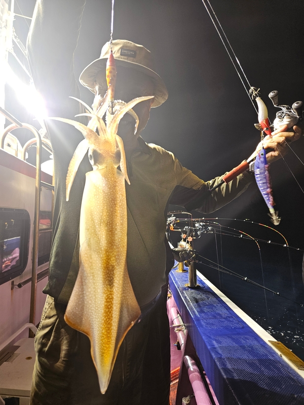 거제 적호의 조황일지 이미지 - 5