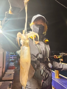 힘든 한치 선상낚시로 잡은 물고기 조황