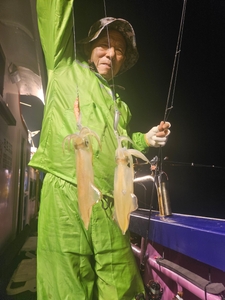 한치조황 입니다 선상낚시로 잡은 물고기 조황