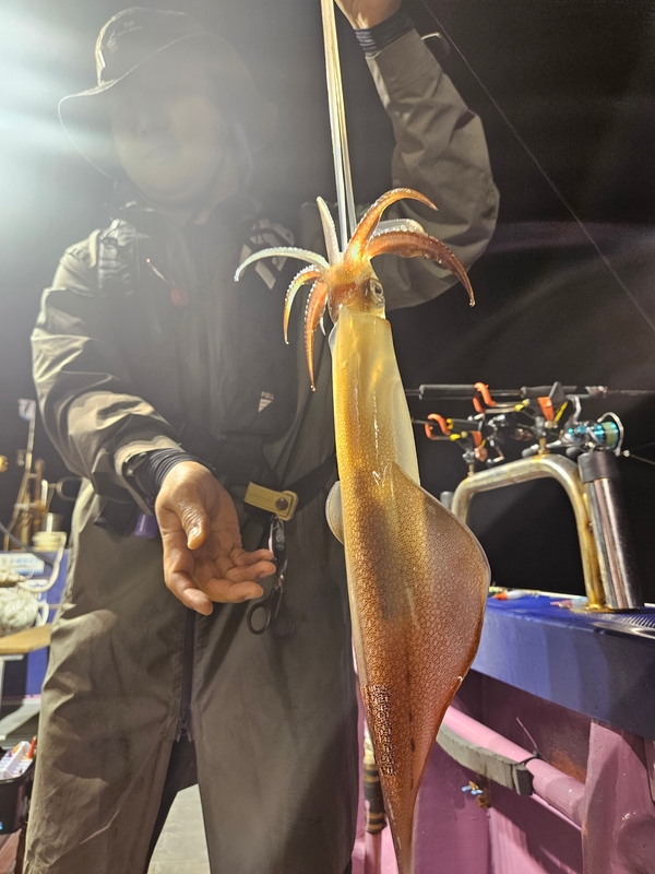 거제 적호의 조황일지 이미지 - 2