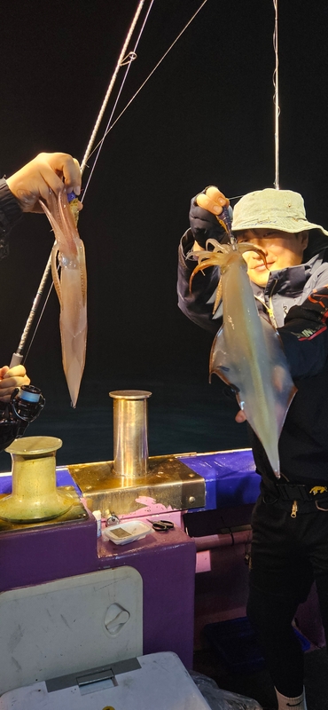 거제 적호의 조황일지 이미지 - 1