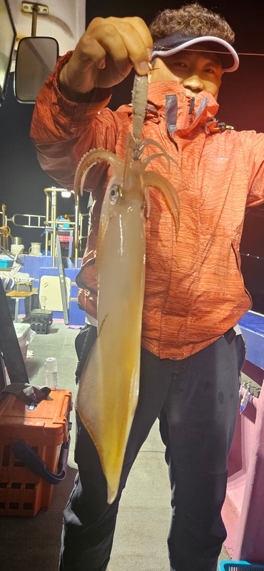 거제 적호의 조황일지 이미지 - 6